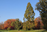 Arboretum Poortbulten